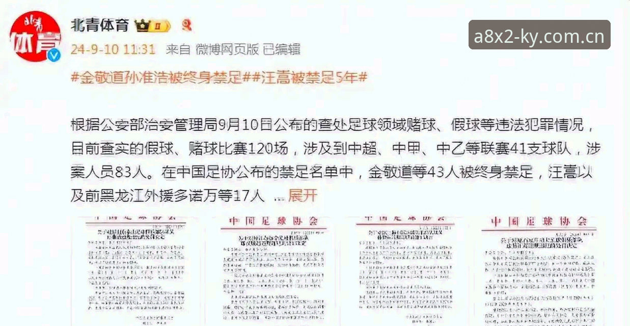 中国足球禁足名单深度评测：65人涉案背后的行业乱象与未来走向